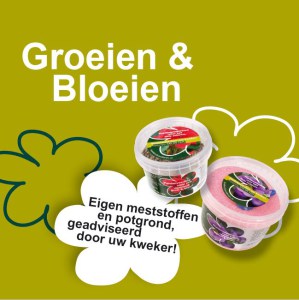 Plantenvoeding 40 stuks tabletten - langzaam werkende meststof